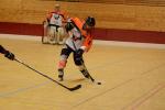 Photo hockey reportage Roller N2 : Les Bloody Tigers, au bout du suspense