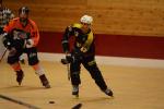 Photo hockey reportage Roller N2 : Les Bloody Tigers, au bout du suspense