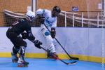 Photo hockey reportage Roller N3 - Villard Bonnot s'impose face à Chambéry