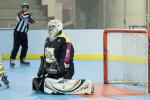 Photo hockey reportage Roller N3 - Villard Bonnot s'impose face à Clermont