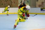 Photo hockey reportage Roller N3 - Villard Bonnot vs Chambéry
