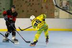 Photo hockey reportage Roller N3 - Villard Bonnot vs Chambéry