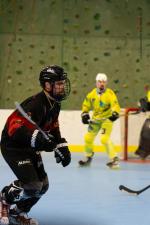 Photo hockey reportage Roller N3 - Villard Bonnot vs Chambéry