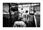 Photo hockey reportage Spécial Valence : Pour le plaisir des yeux...
