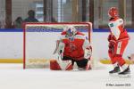Photo hockey reportage TF - Serre-Chevalier arrache le Trophée en prolongation