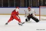 Photo hockey reportage TF - Serre-Chevalier arrache le Trophée en prolongation