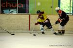 Photo hockey reportage Tournoi Loisir à Besançon