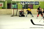 Photo hockey reportage Tournoi Loisir à Besançon