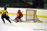 Photo hockey reportage Tournoi Senior Besançon : Premier jour