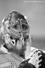 Photo hockey reportage Trophée des champions aux Dragons