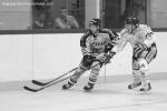 Photo hockey reportage Trophée des champions aux Dragons