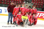 Photo hockey reportage Trophée des Petits Champions 2014