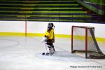 Photo hockey reportage U11 : Dos à dos