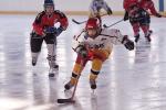 Photo hockey reportage U11 : Orléans - Neuilly/Fontenay