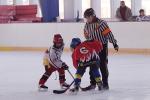 Photo hockey reportage U11 : Orléans - Neuilly/Fontenay