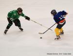 Photo hockey reportage U13 : Tournoi NHL à Tours 2014