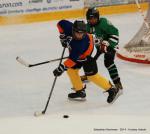 Photo hockey reportage U13 : Tournoi NHL à Tours 2014