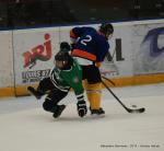 Photo hockey reportage U13 : Tournoi NHL à Tours 2014