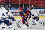 Photo hockey reportage U20 - BDL Grenoble vs Villard de Lans