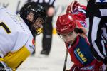 Photo hockey reportage U20 : Rouen vient défier Grenoble à Pole Sud 