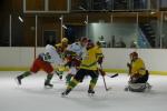 Photo hockey reportage Viry - Algérie en images